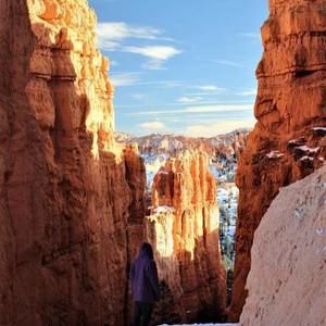 Meet your Posher, Wilco